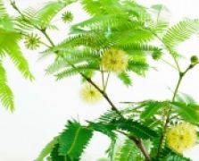 時(shí)尚浴室柜
